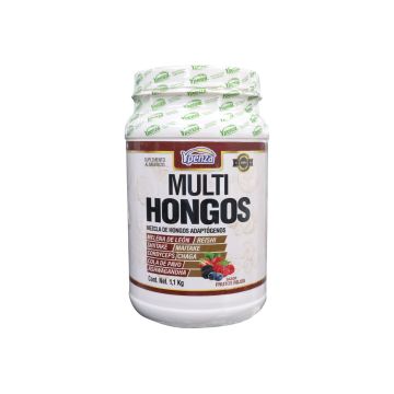 polvo multi hongos sabor frutos rojos  1.100kg mezcla de hongos adaptogenos, melena de leon, reishi, shitake, maitake, cordyceps, changa,  1x12 *