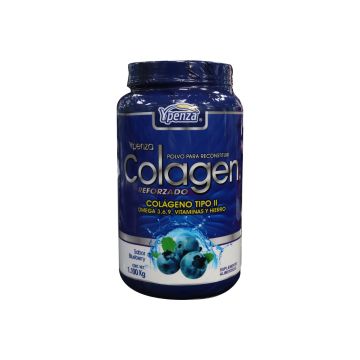 polvo colagen  reforzado sabor blueberry para reconstituir  (formula mejorada) 1.100 kg*  colageno tipo ii  omega 3,6,9, vitaminas y hierro