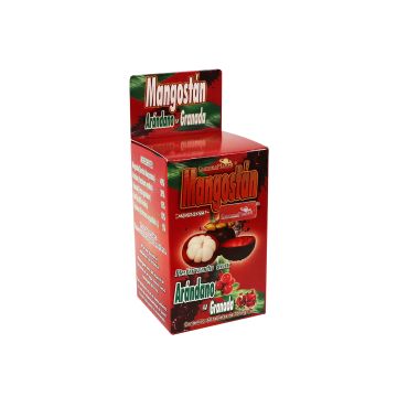 TBS. MANGOSTAN ROJO CON ARANDANO  C/60