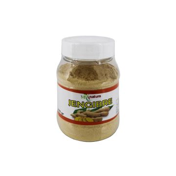 POLVO JENGIBRE 200 GRS
