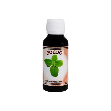 EXT. BOLDO 70ML 1X60