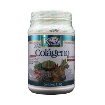 POLVO COLAGENO DIAB HIDROLIZADO BEBIDA SABOR ARANDANO 1.100 KG* 1X24