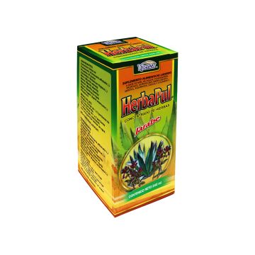 JARABE HERBA PUL CONCENTRADO DE HIERBAS 240 ML